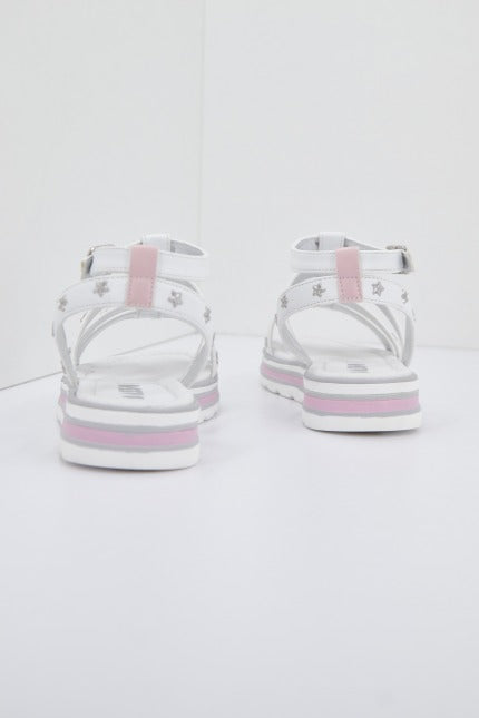 ASSO AG en color C  (3)
