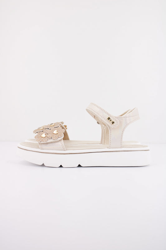 ASSO AG en color CIPRIA  (1)