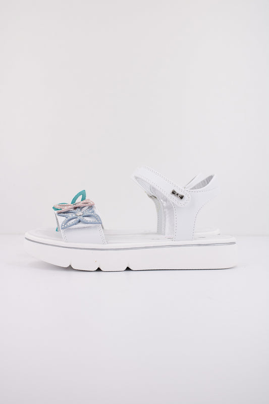 ASSO AG en color WHTMLT  (1)