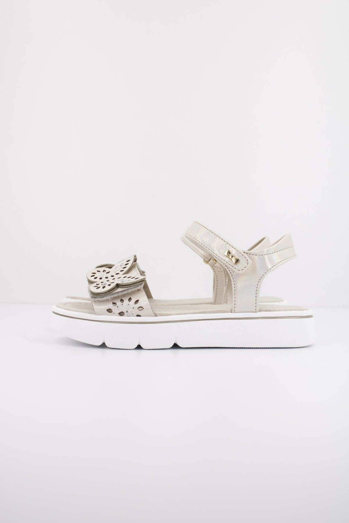 ASSO AG en color CIPRIA  (1)