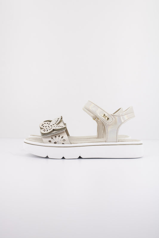 ASSO AG en color CIPRIA  (1)