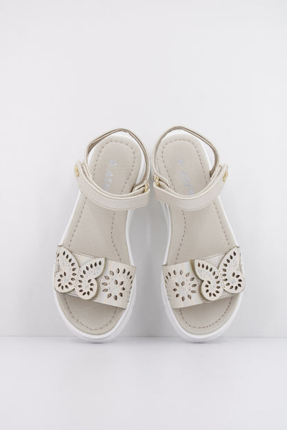 ASSO AG en color CIPRIA  (3)