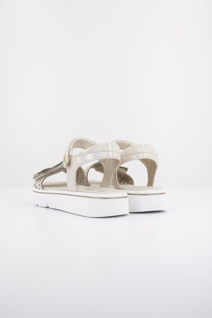 ASSO AG en color CIPRIA  (4)