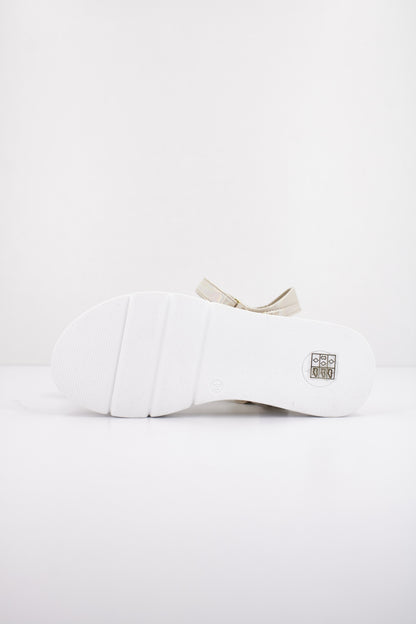 ASSO AG en color CIPRIA  (5)