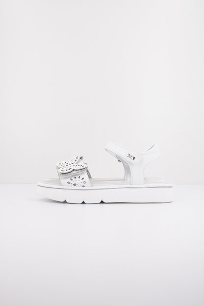 ASSO AG en color WHITE  (1)