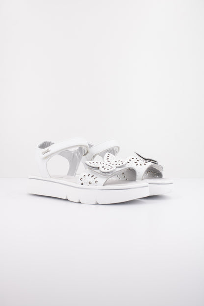 ASSO AG en color WHITE  (2)