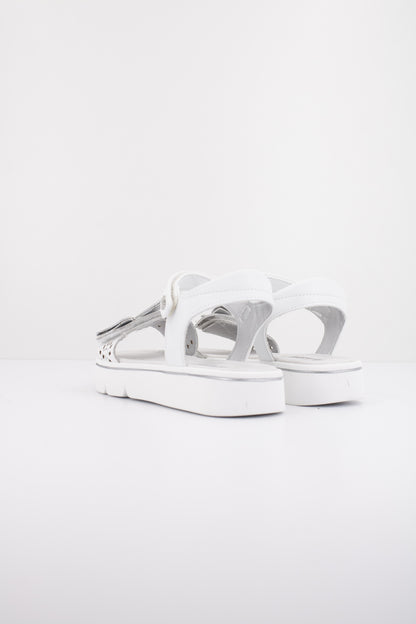 ASSO AG en color WHITE  (4)
