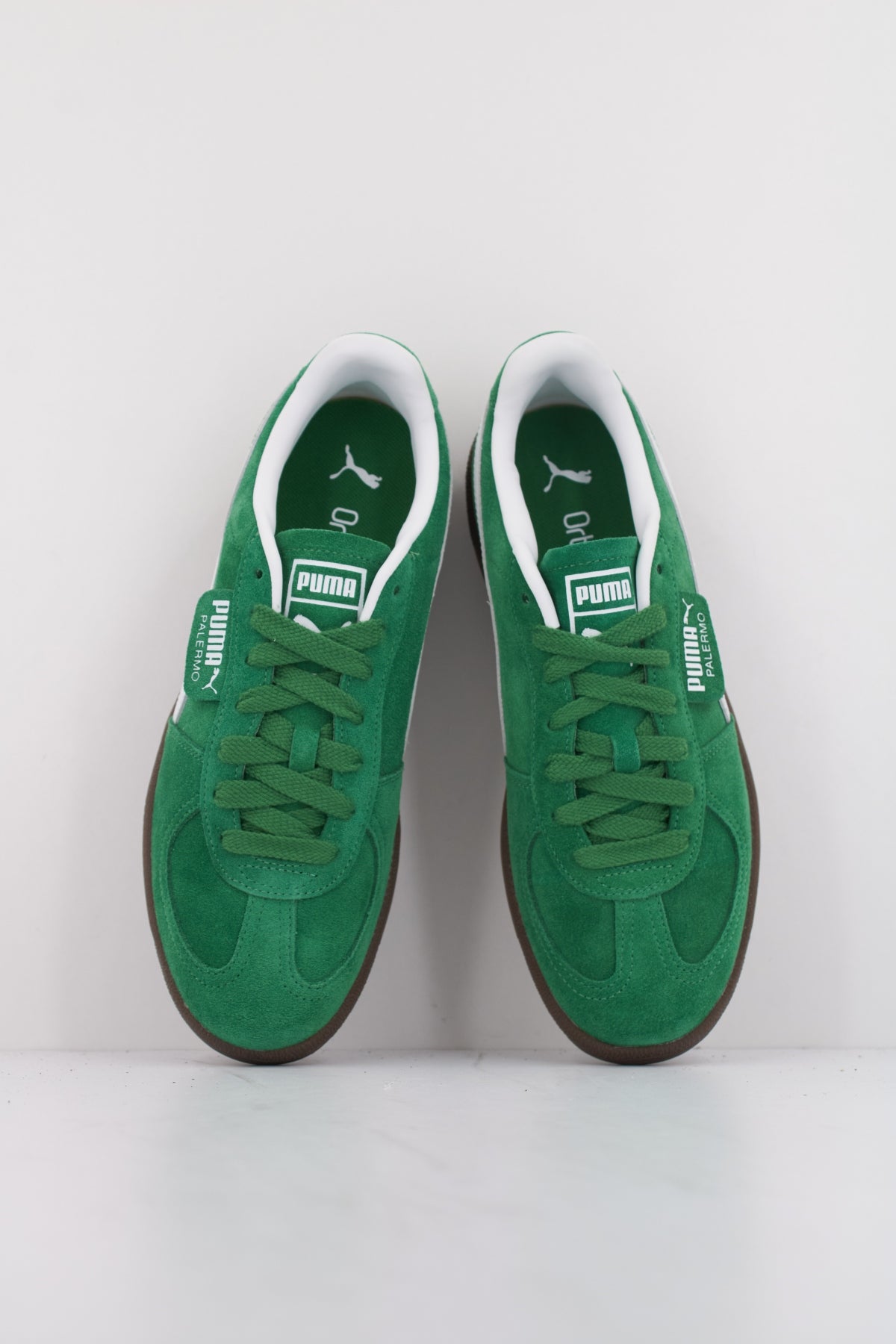 PUMA PALERMO en color GREEN  (3)