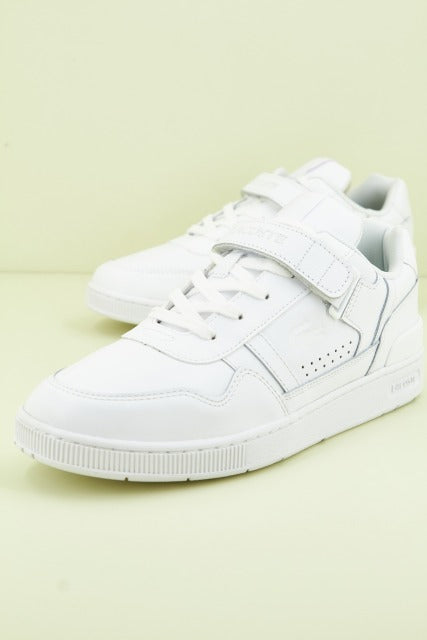 LACOSTE T-CLIP VLC   SMA en color G  (1)