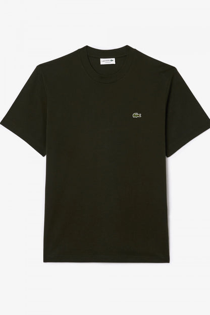 LACOSTE TH  en color SAPWOOD  (2)