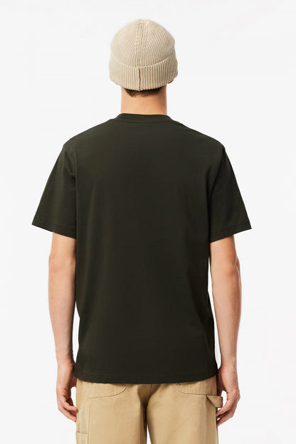 LACOSTE TH  en color SAPWOOD  (3)