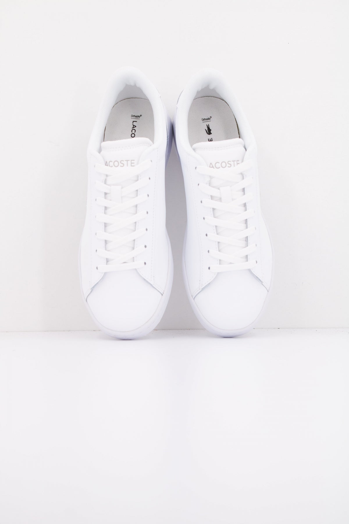 LACOSTE CARNABY SET en color WHTWHT  (3)