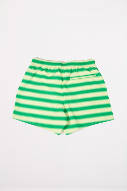 LACOSTE MH en color LMNE  (3)