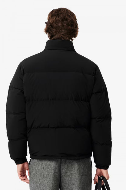 LACOSTE BH en color BLACK  (3)
