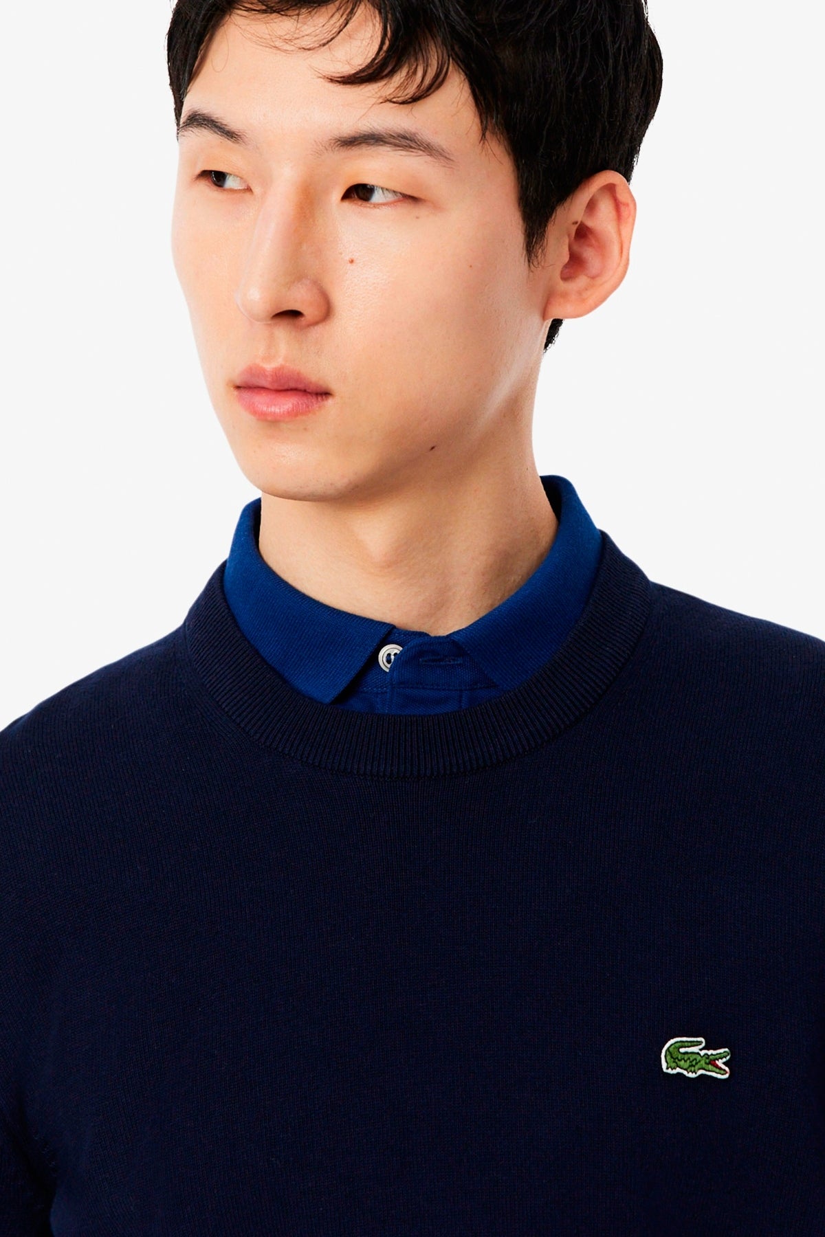 LACOSTE AH CREWNECKS SWE en color   (3)