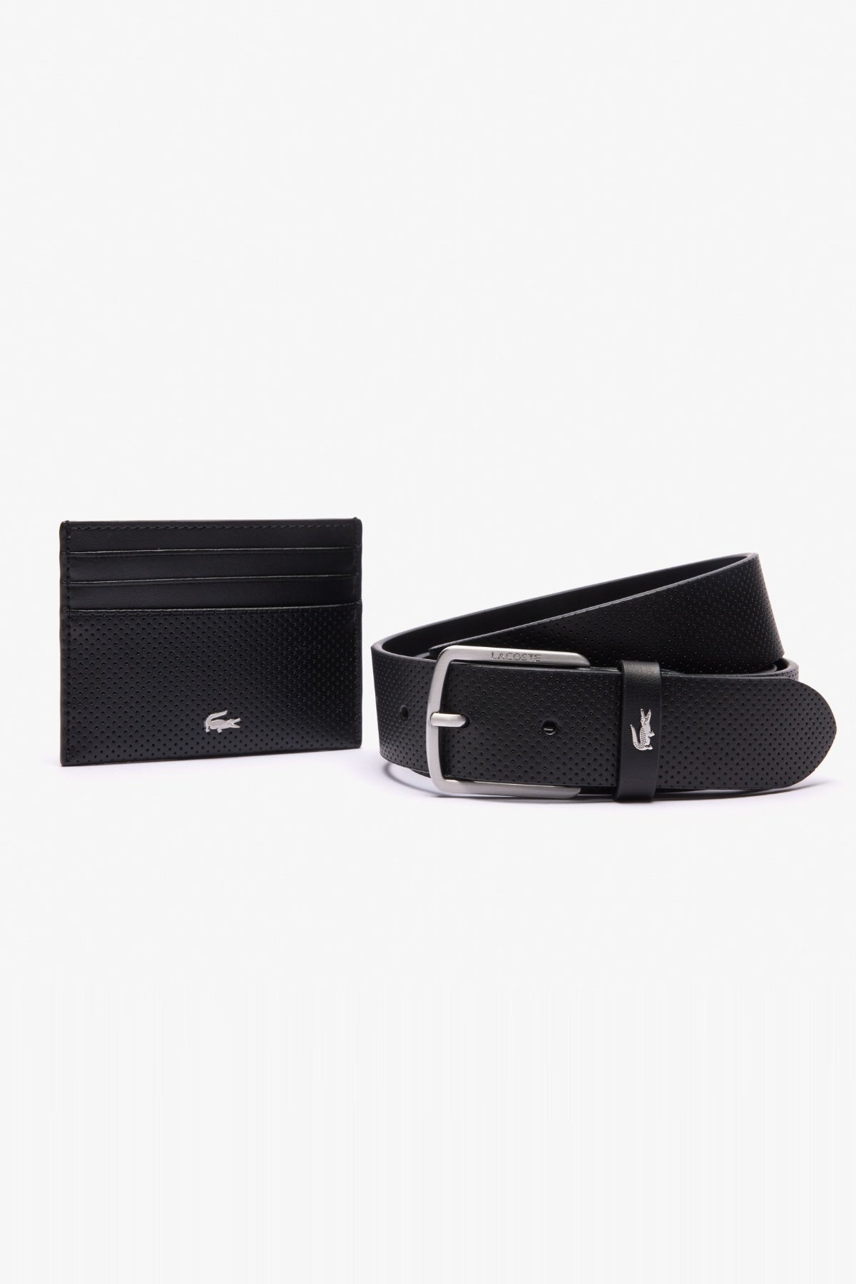 LACOSTE RC PUNCH BELT en color   (1)