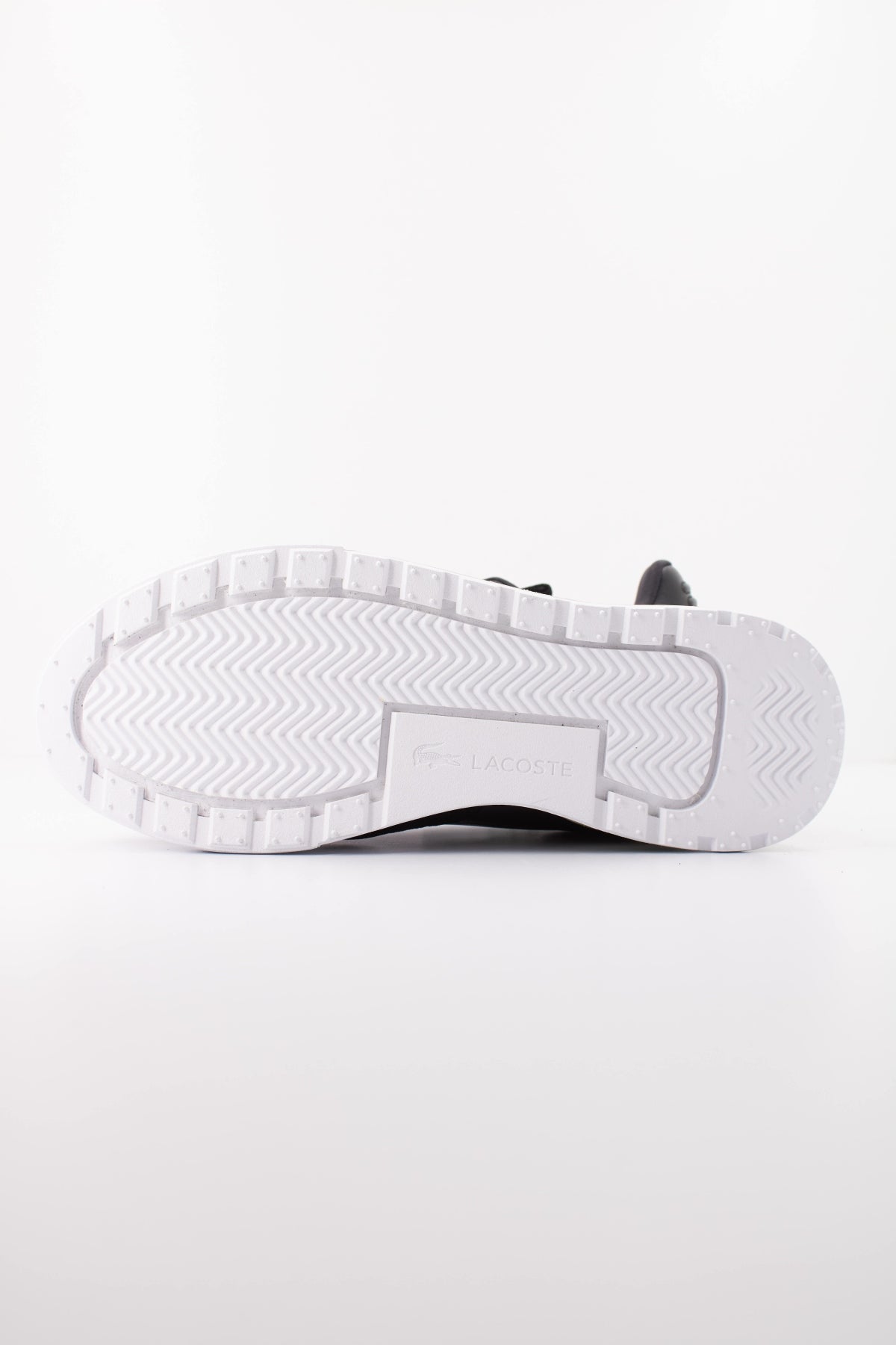 LACOSTE SMA  en color AS  (5)