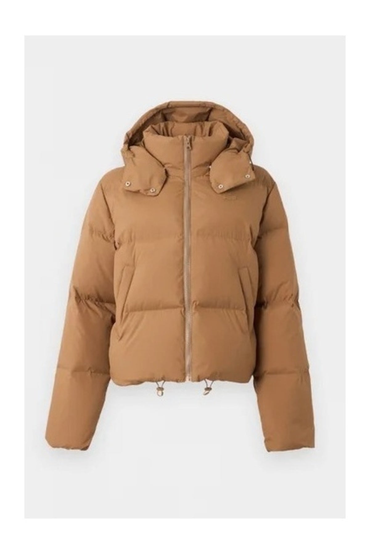 LACOSTE PUFFER JACKETS en color SIX  (1)