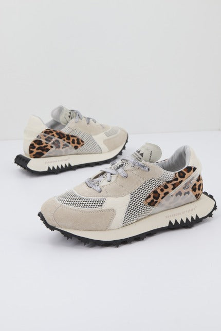 RUN OF JUNGLE W en color   (1)