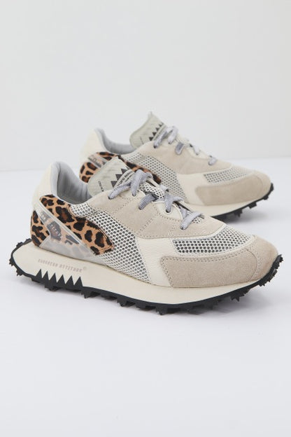 RUN OF JUNGLE W en color   (2)