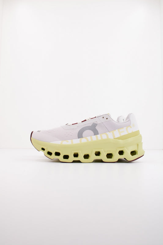 ON RUNNING CLOUDMONSTER W en color FRSTAC  (1)