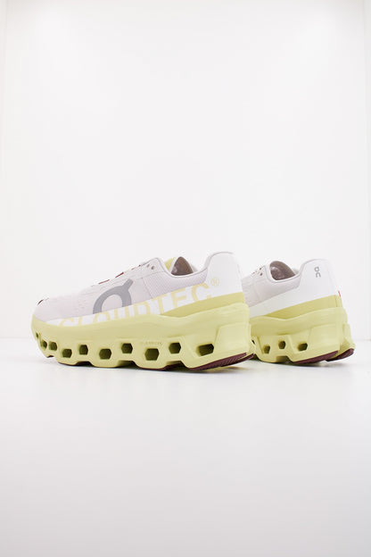 ON RUNNING CLOUDMONSTER W en color FRSTAC  (3)