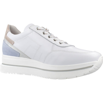 NERO GIARDINI DEPORTIVO CORDONES V en color   (5)