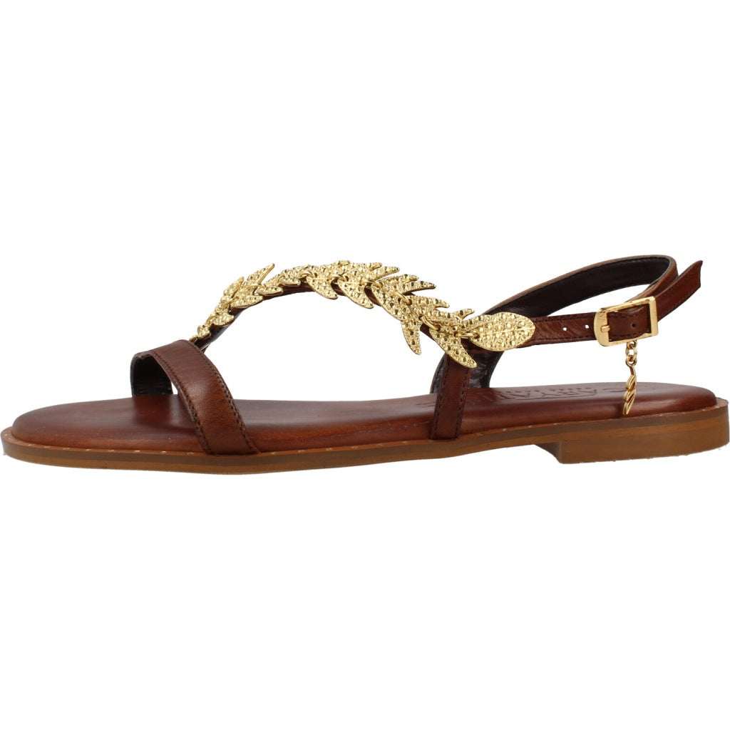 CARYATIS C en color BROWN  (2)