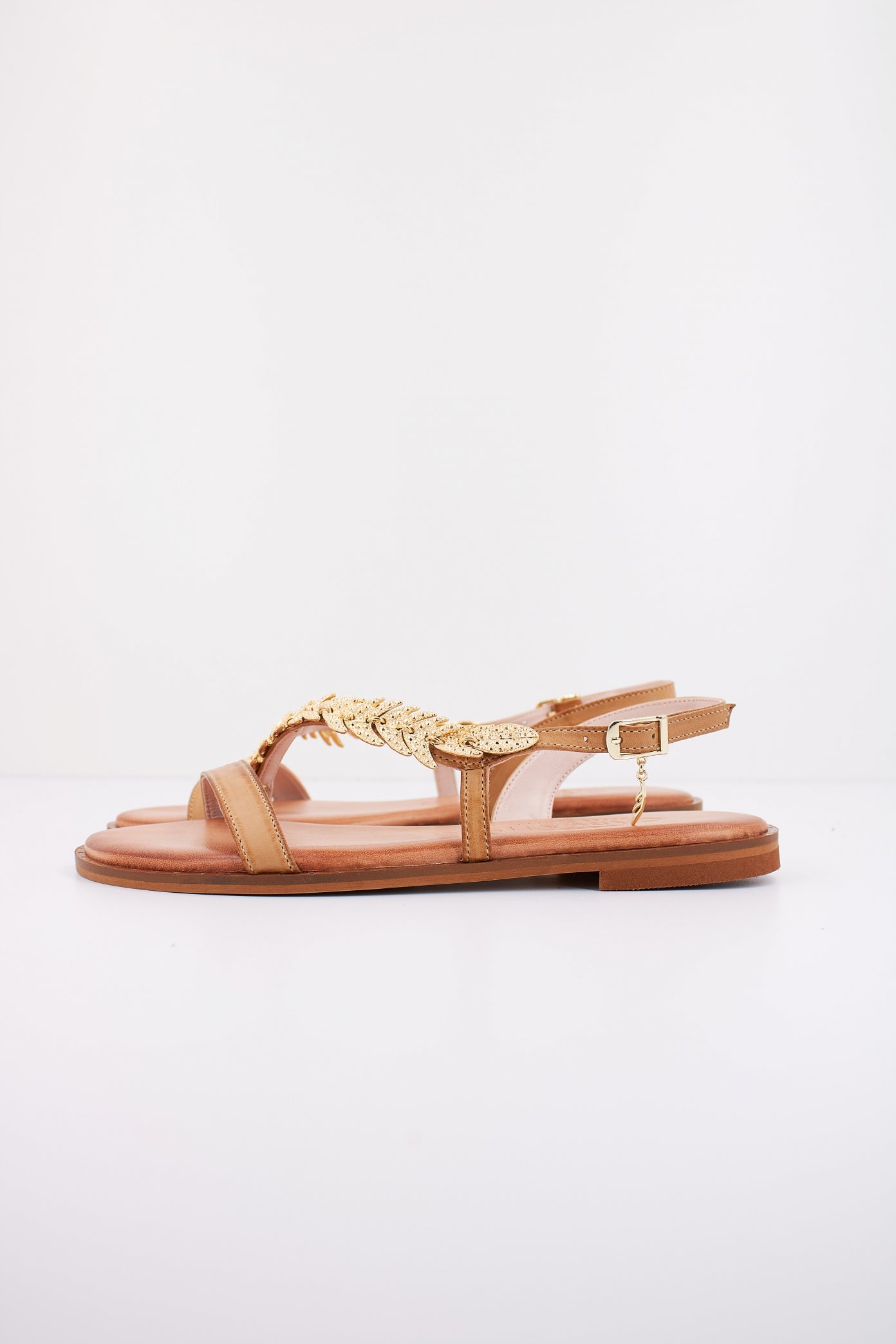 CARYATIS C en color CMLGLD  (1)