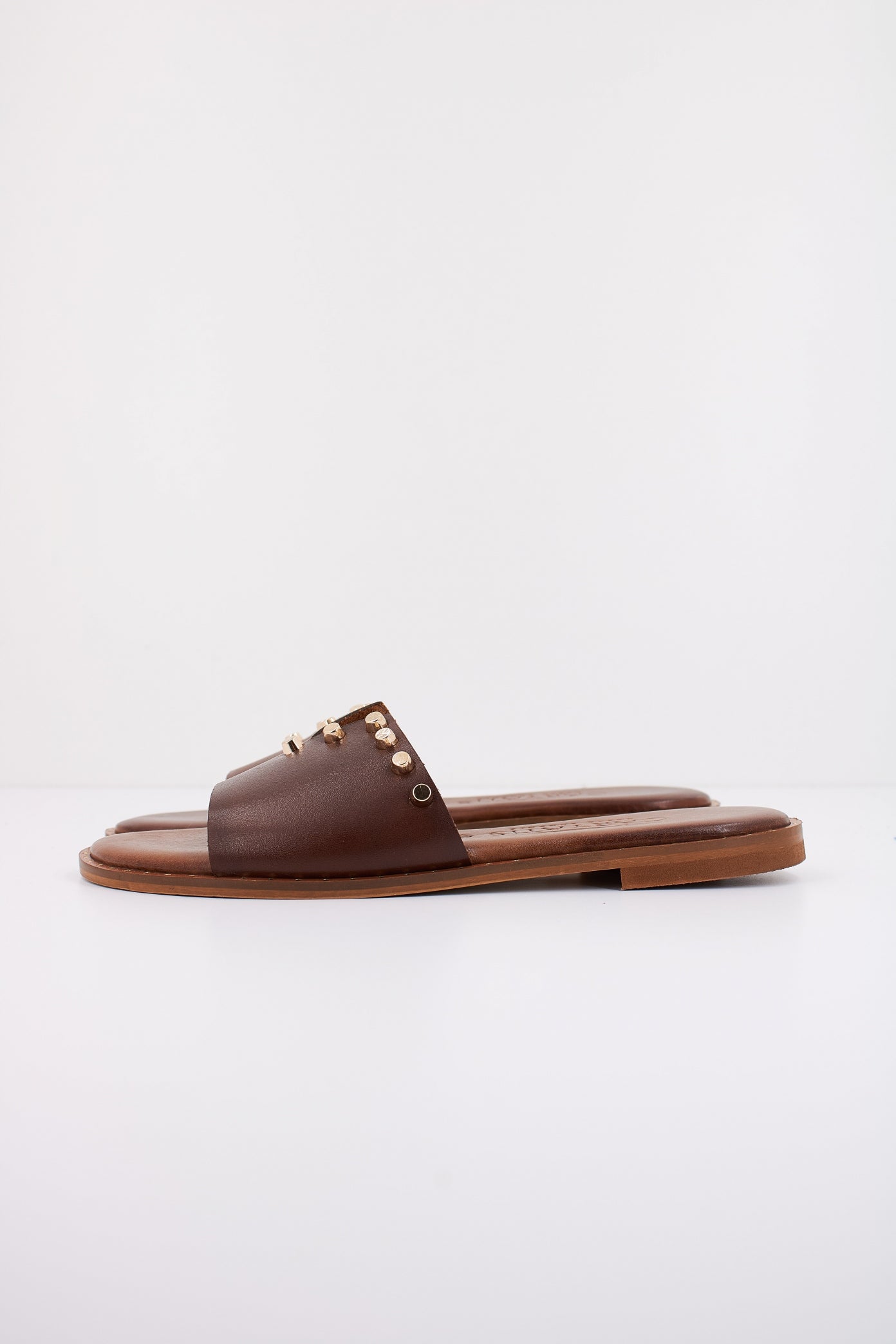 CARYATIS C en color BRWNGLD  (1)