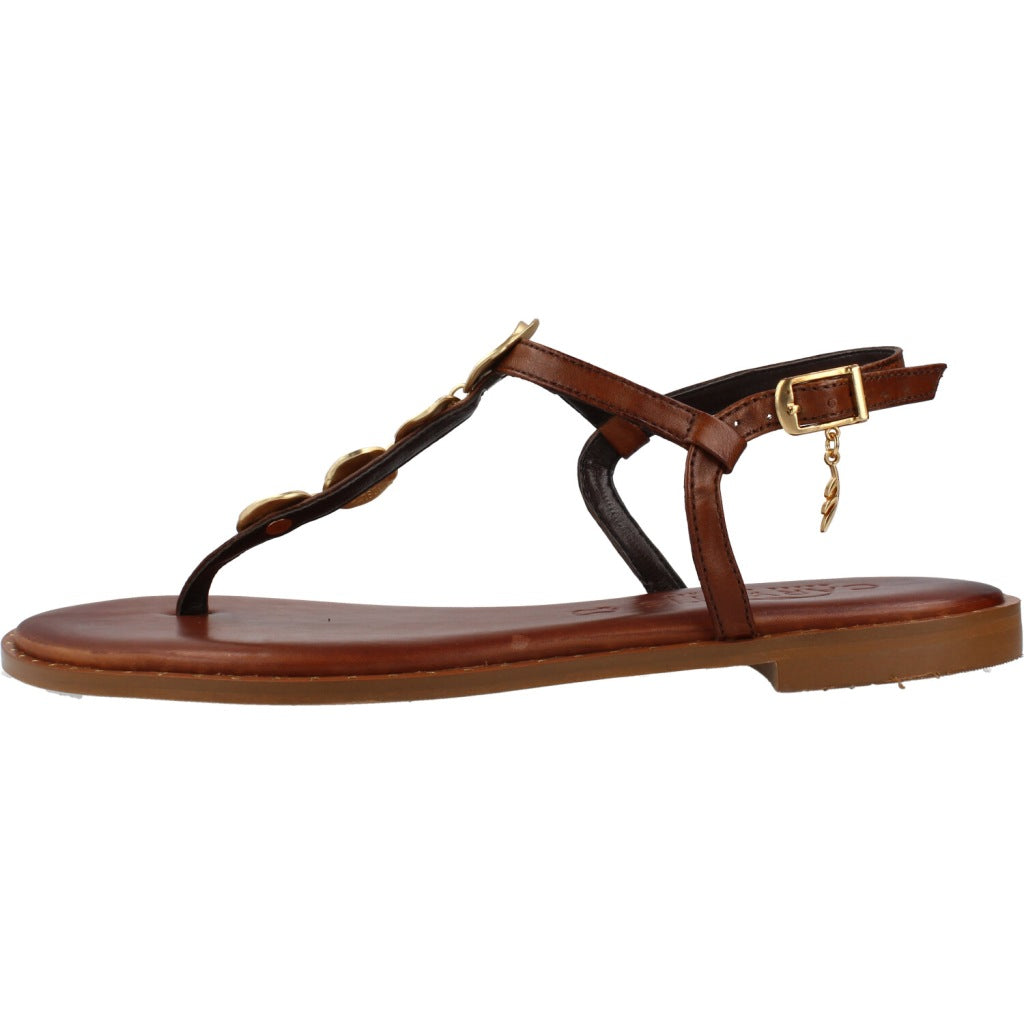 CARYATIS C  en color BROWN  (2)