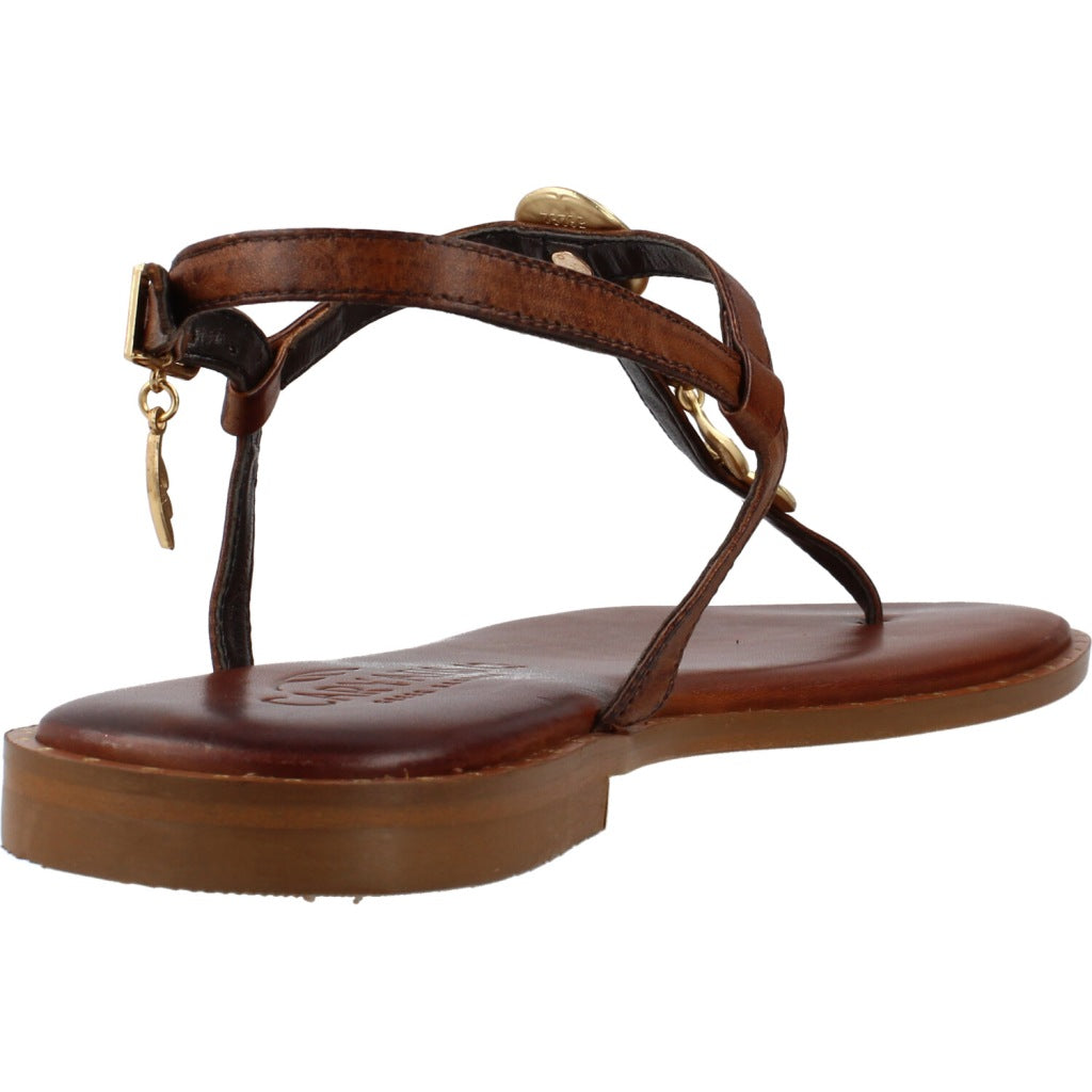 CARYATIS C  en color BROWN  (3)