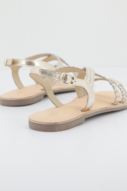 LES TROPEZIENNES DIAMS  en color OR  (3)