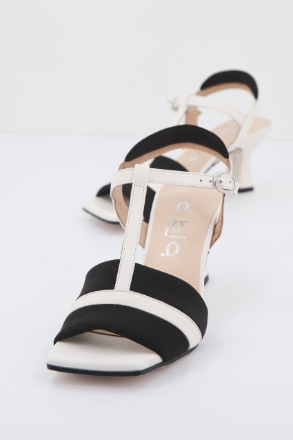 DIBIA  D  en color NGRBLC  (1)