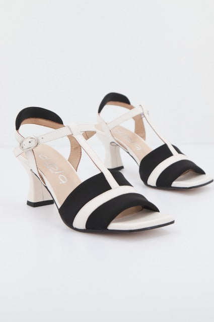 DIBIA  D  en color NGRBLC  (2)