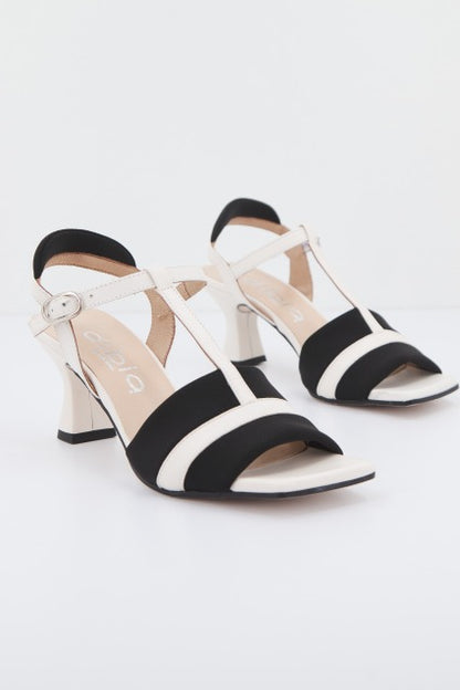 DIBIA  D  en color NGRBLC  (2)