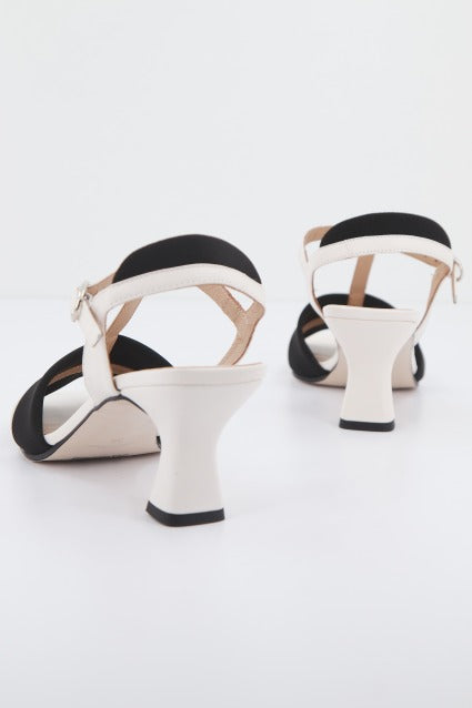 DIBIA  D  en color NGRBLC  (3)