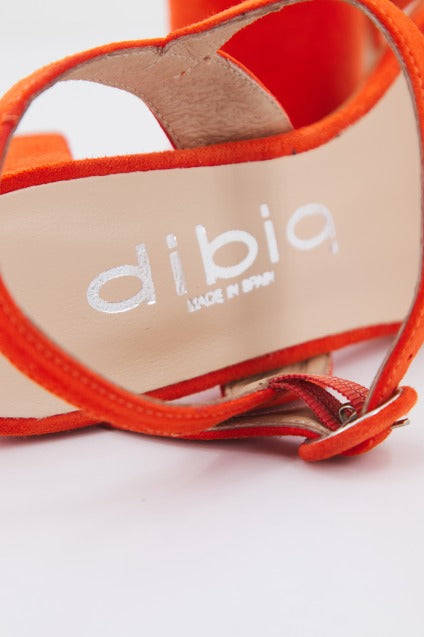 DIBIA  D  en color NARANJA  (4)