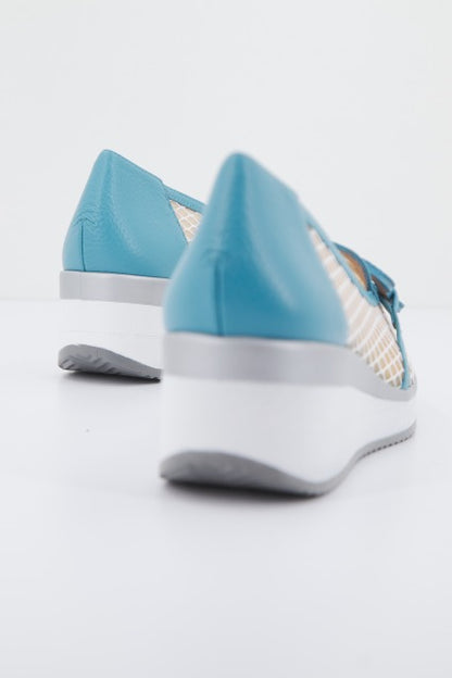 DIBIA D en color AZLBLNC  (3)