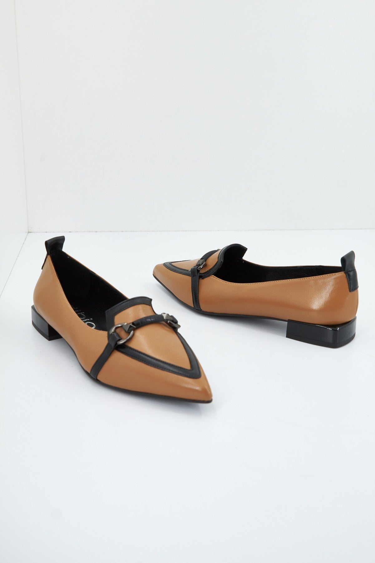 DIBIA  en color CAMEL  (4)