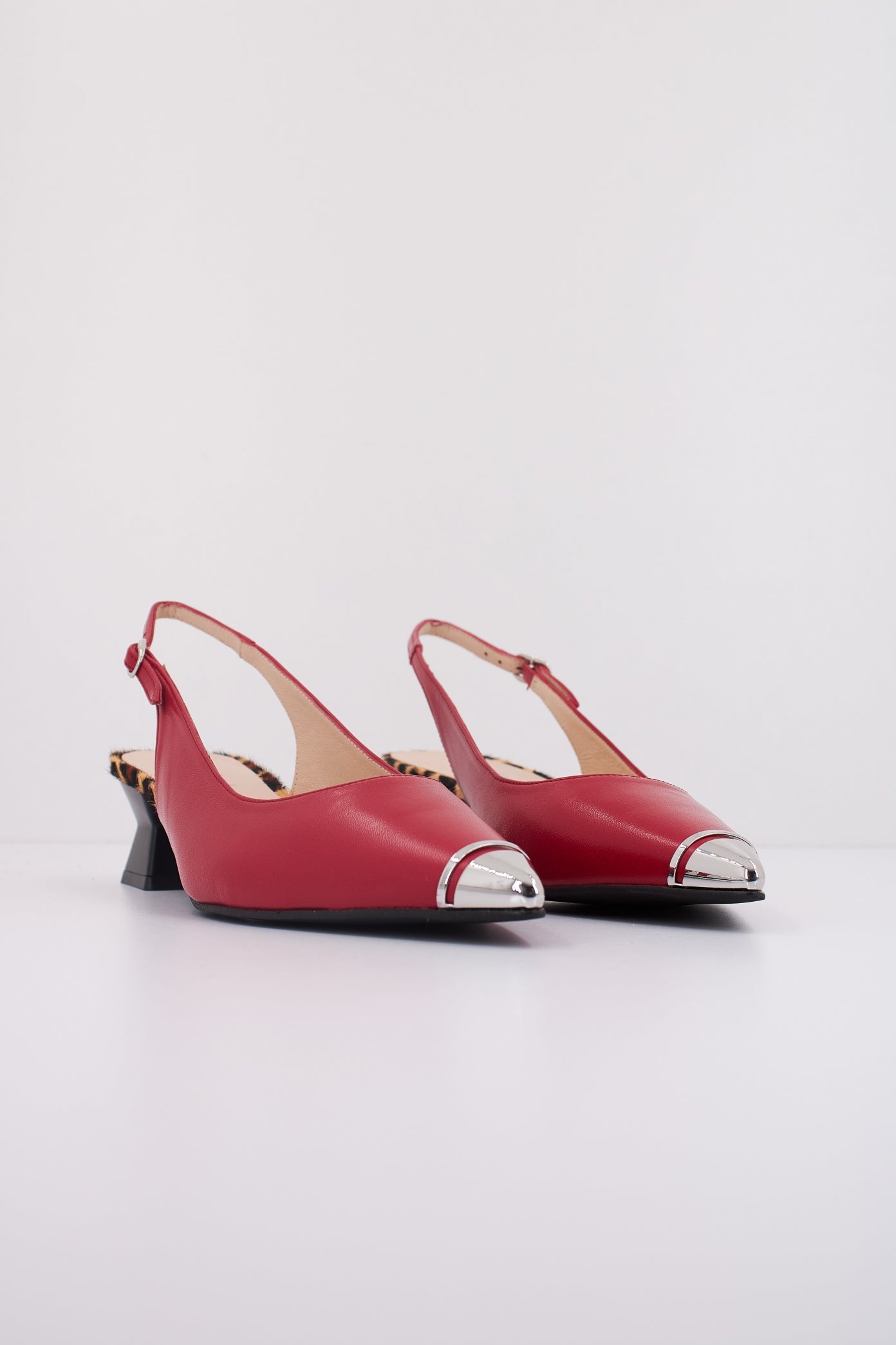 DIBIA D en color ROJO  (2)