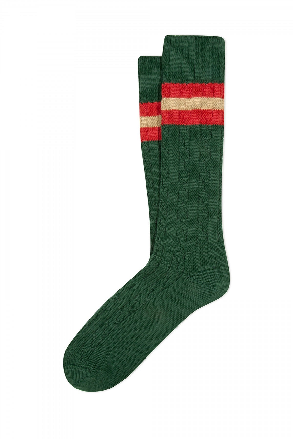 ANT MULL en color GBOTGREE  (1)