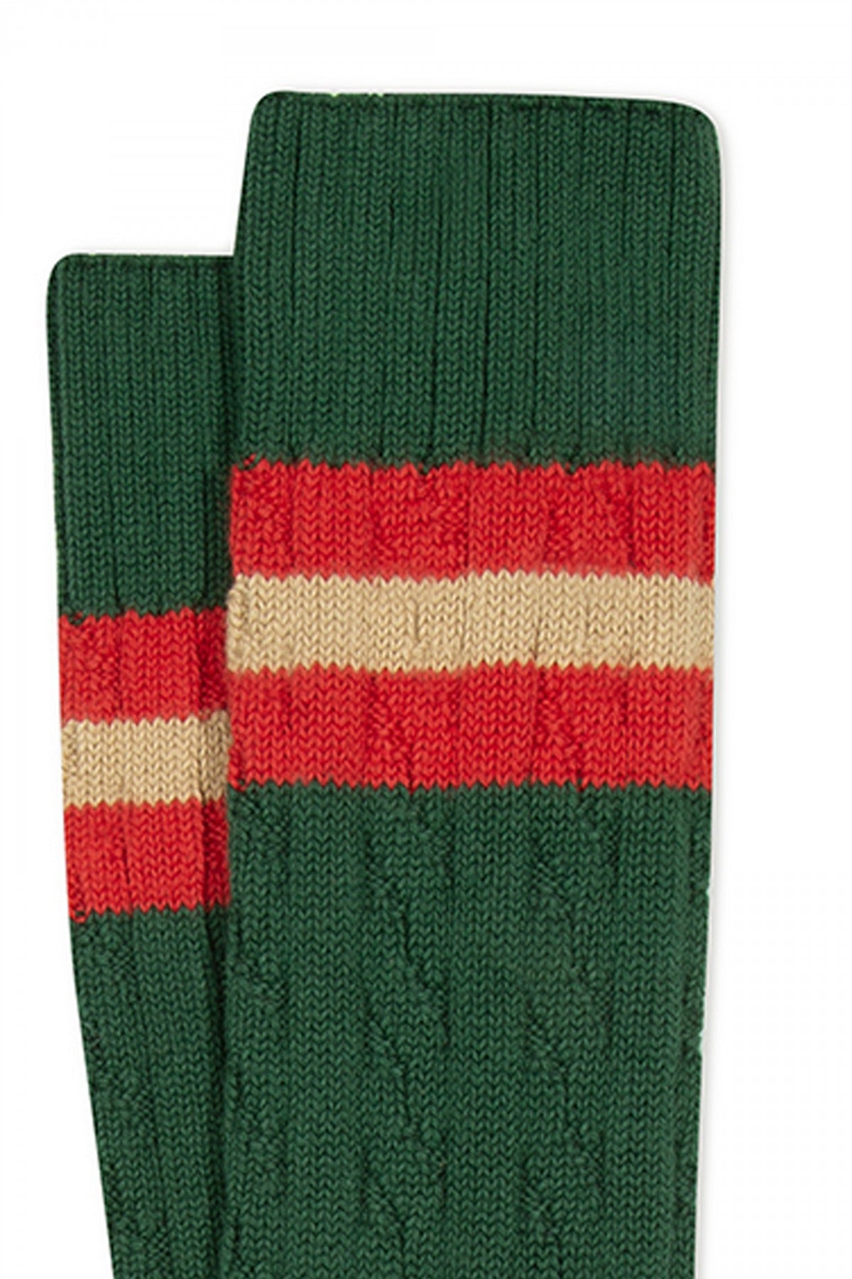 ANT MULL en color GBOTGREE  (2)