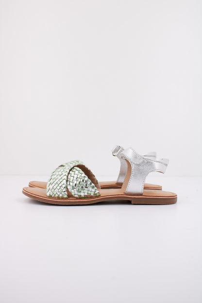 MOD  CANIBRAID en color VRTCLR  (1)