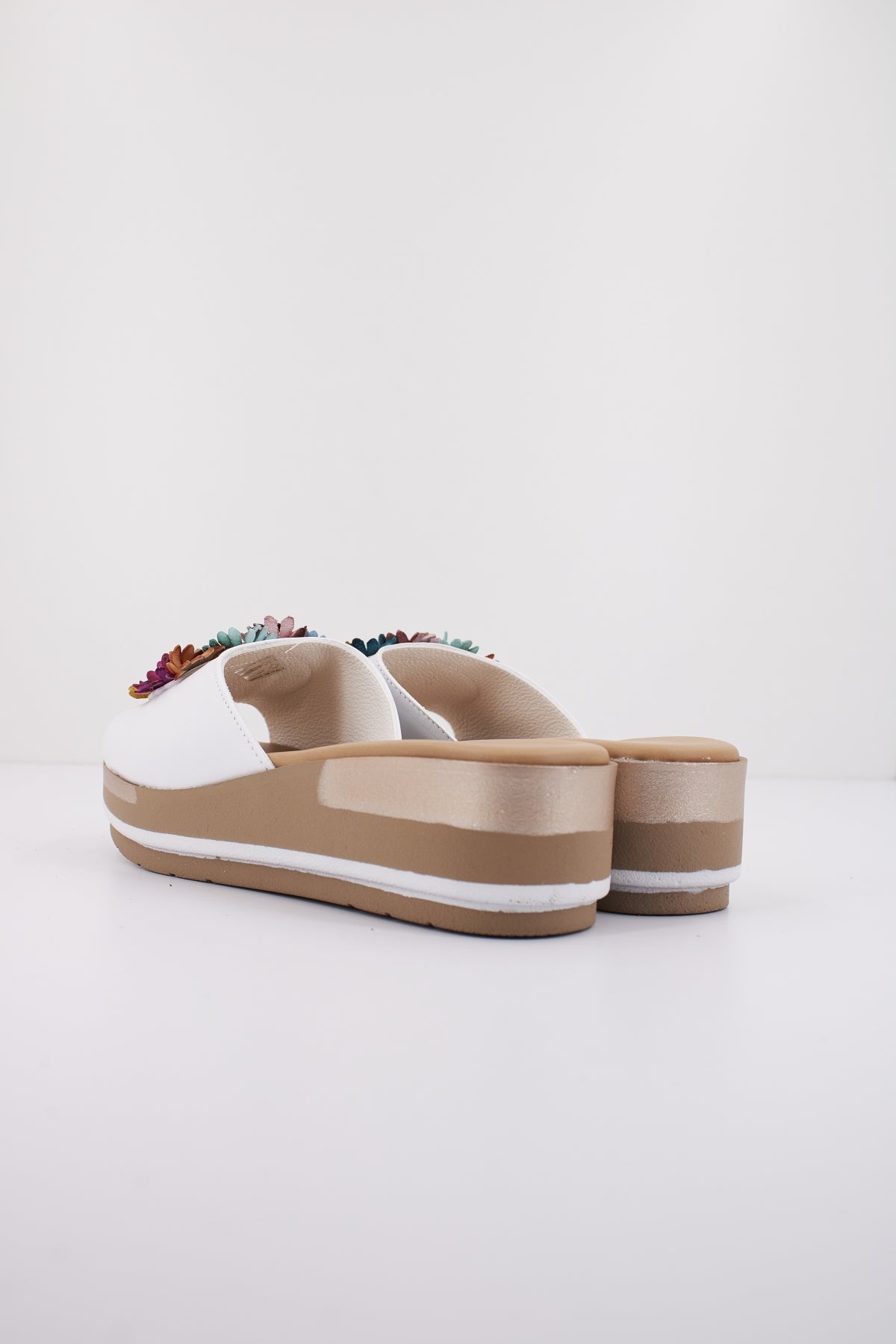 REPO R en color BNCMLTI  (3)