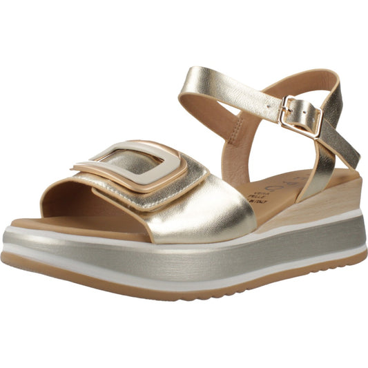 REPO R en color PLATINO  (1)