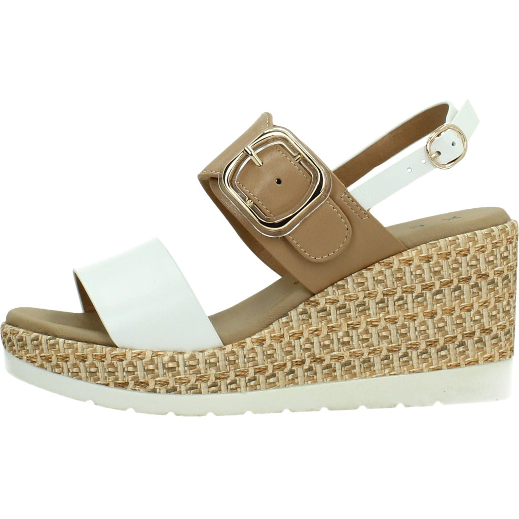 REPO R en color BNCCML  (2)