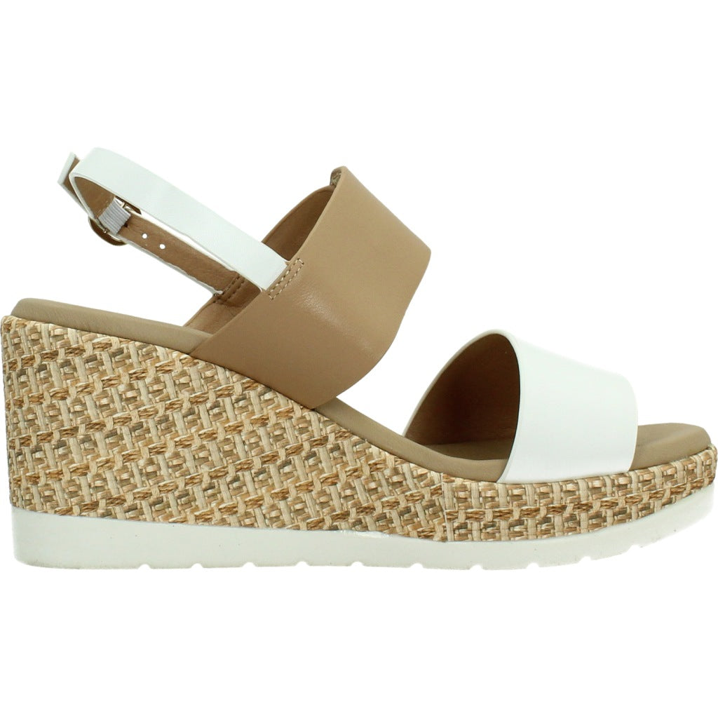 REPO R en color BNCCML  (4)