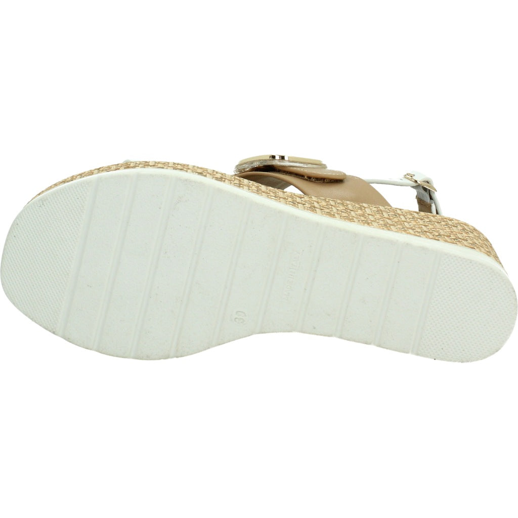 REPO R en color BNCCML  (7)