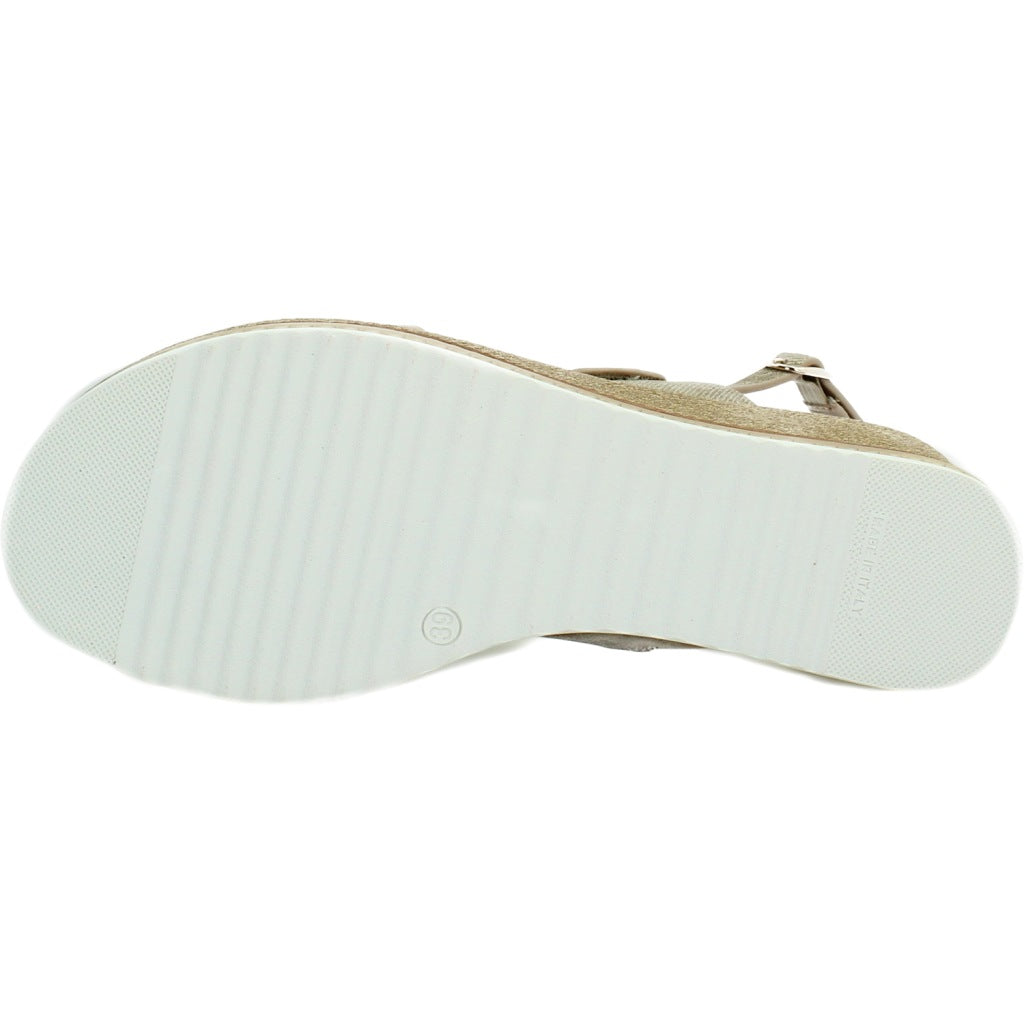 REPO R en color CMLTPE  (1)